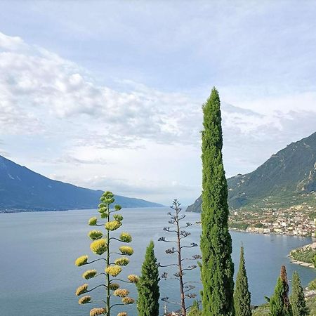 Centro Vacanze La Limonaia Limone sul Garda Εξωτερικό φωτογραφία